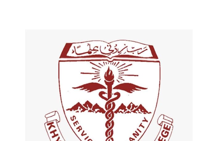 do article writing, medical education, blogs and research,